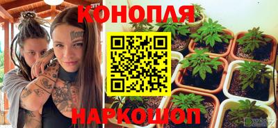 сатива Кунгур