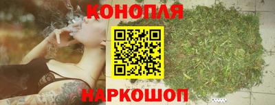 сатива Кунгур