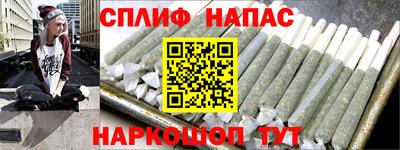 сатива Кунгур