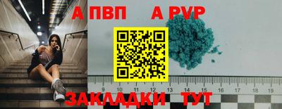 сатива Кунгур